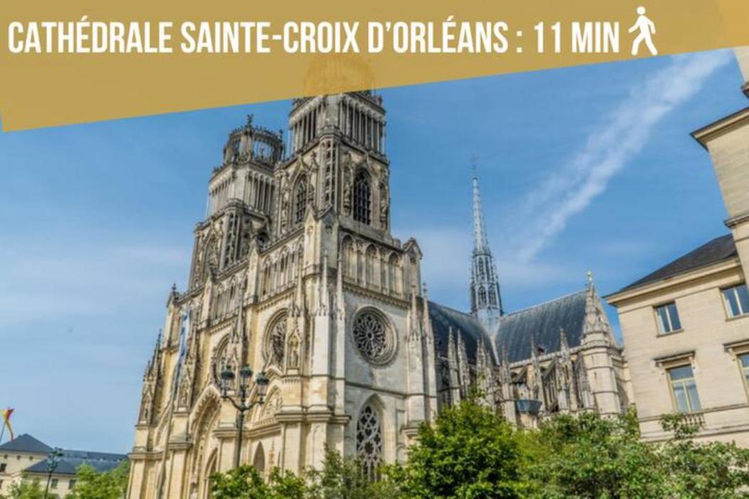 Spacieux Studio Neuf Orleans Centre Apartment ภายนอก รูปภาพ